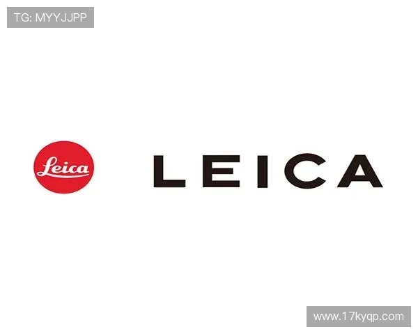 全面解析ng体育app下载：功能、优势与使用指南