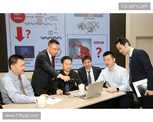 探索白菜项目论坛：分享与交流的最佳平台